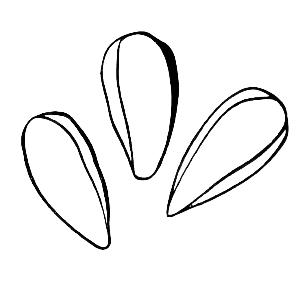 words_seed1