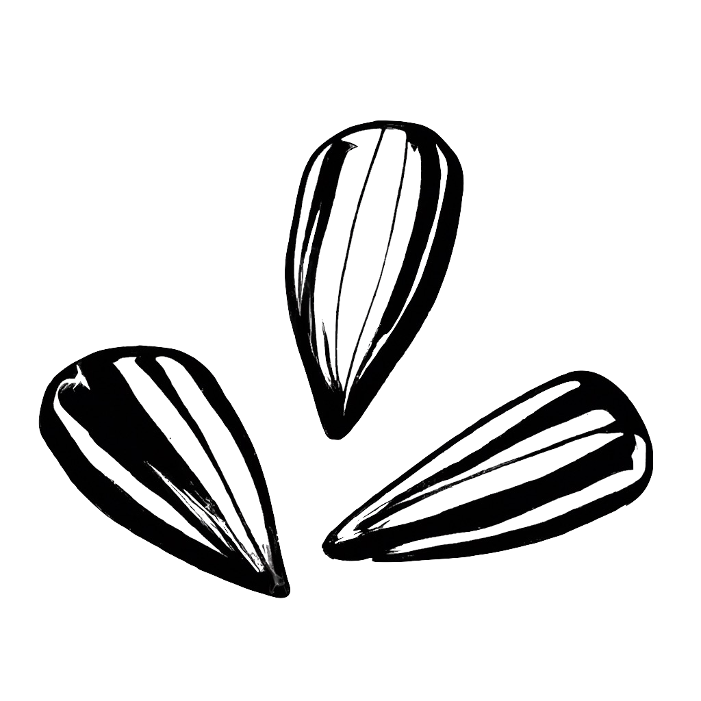 words_seed2